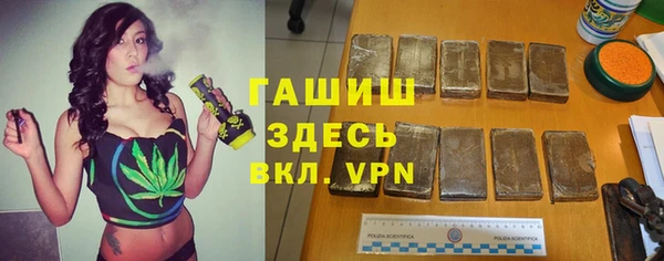 стаф Аркадак