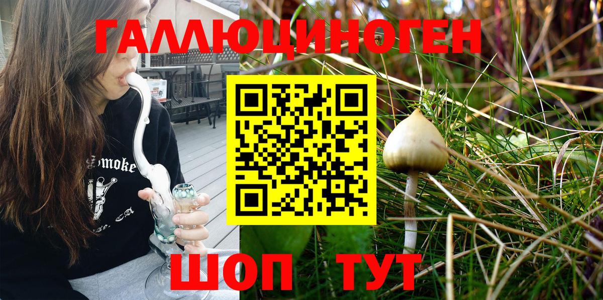 Тула  Галлюциногенные грибы MAGIC MUSHROOMS  Вход с VPN 